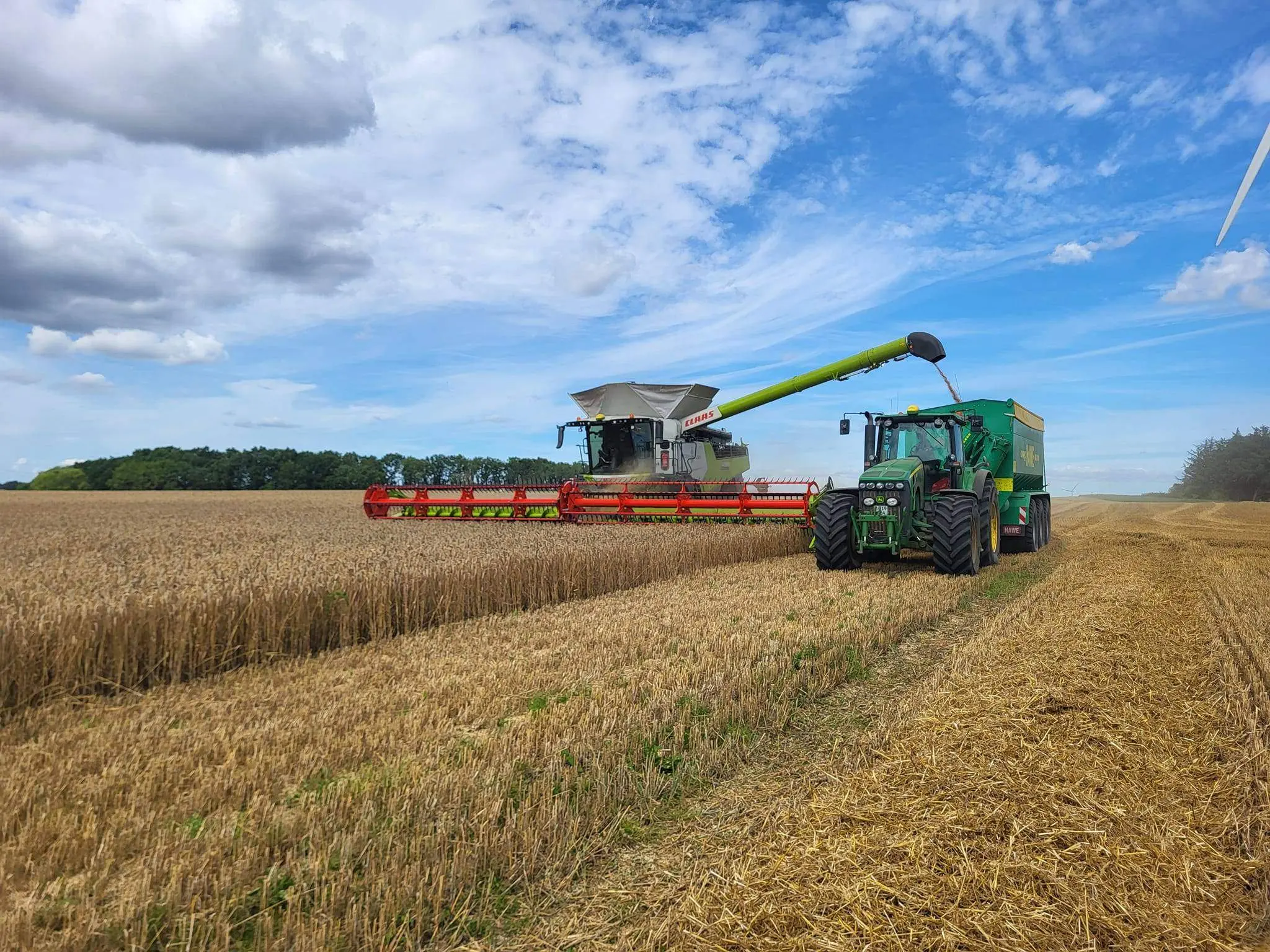 Høst på Ødemark Gods